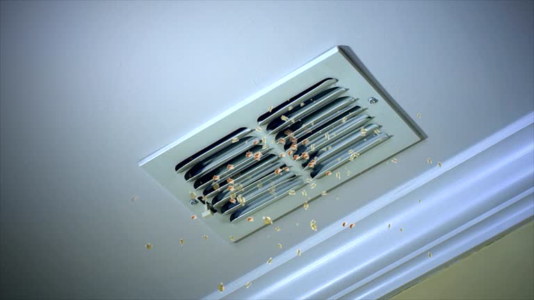 Best Home Air Vent Cleaning  in Hillsville, VA